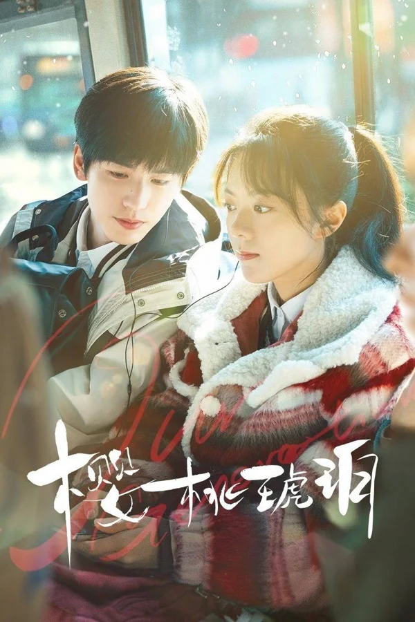 Xem Anh Đào Hổ Phách Online - Cùng Xem Cùng Chill | Phim Hay C