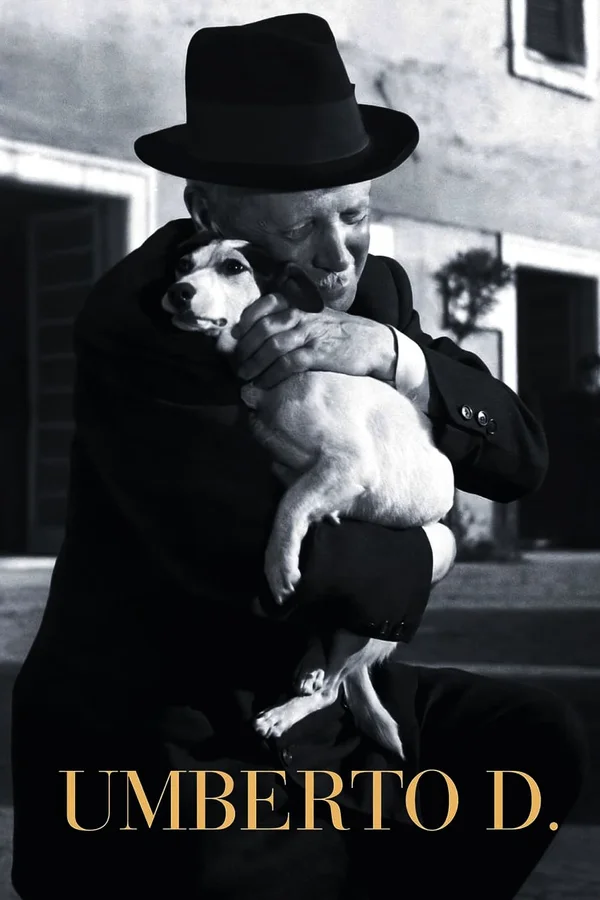 Xem Khốn Quẫn Online - Cùng Xem Cùng Chill | Phim Hay C