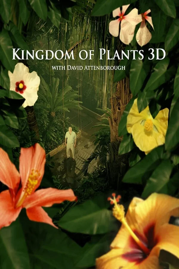 Xem Kingdom of Plants Online - Cùng Xem Cùng Chill | Phim Hay C