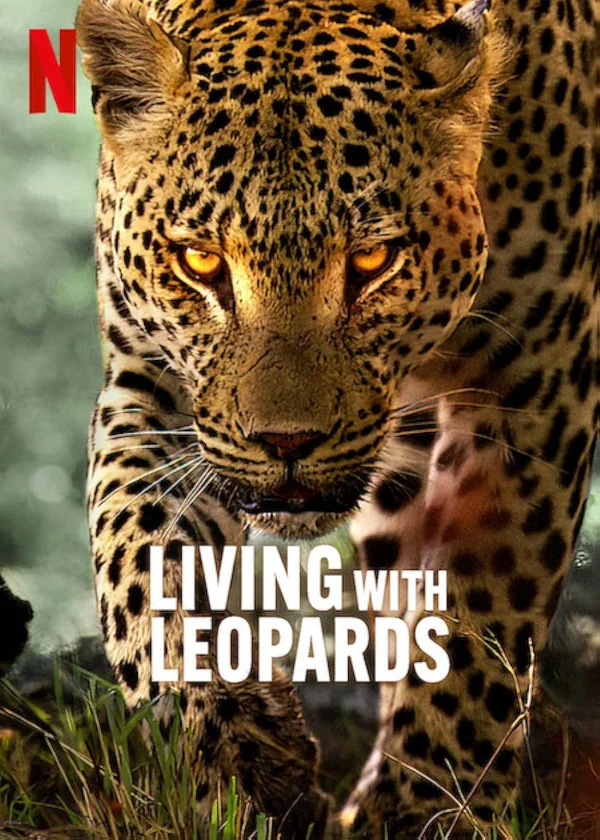Xem Living with Leopards Online - Cùng Xem Cùng Chill | Phim Hay C