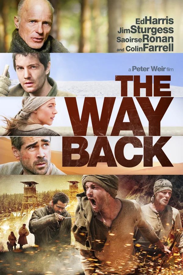 Xem The Way Back Online - Cùng Xem Cùng Chill | Phim Hay C