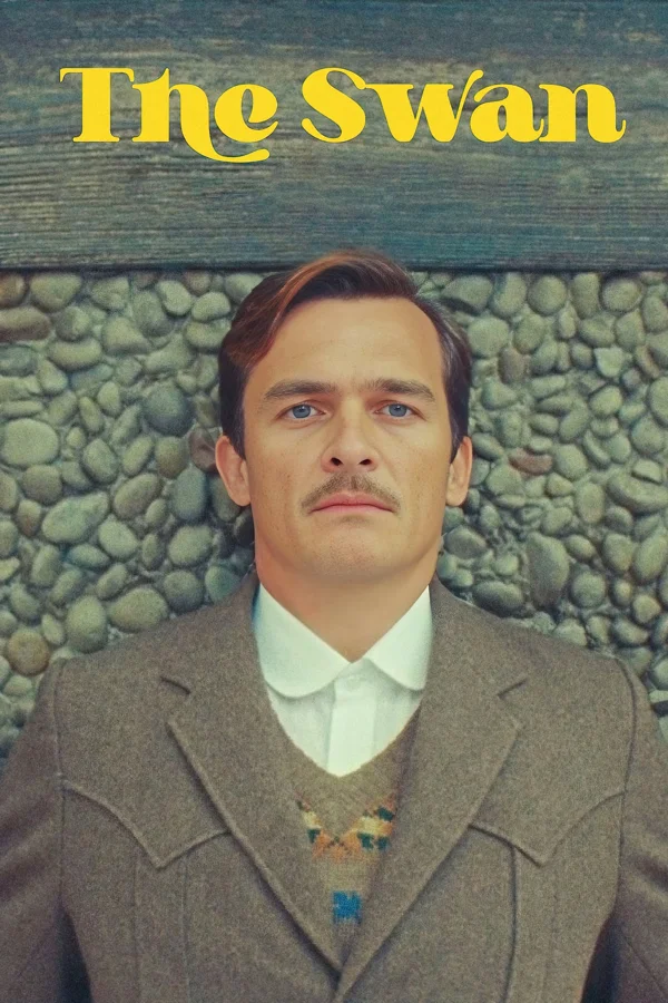 Xem Thiên nga Online - Cùng Xem Cùng Chill | Phim Hay C